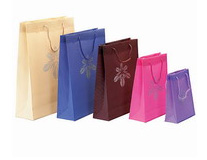 PP Gift Bag