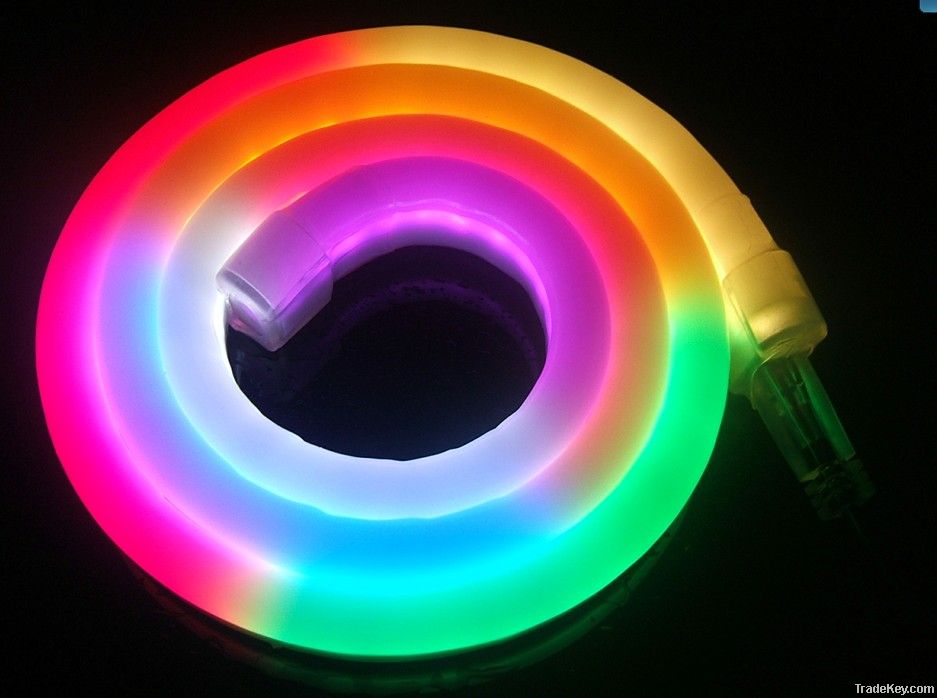 LED Neon Light