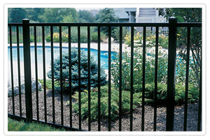 Pool Fence