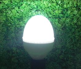 led bulb