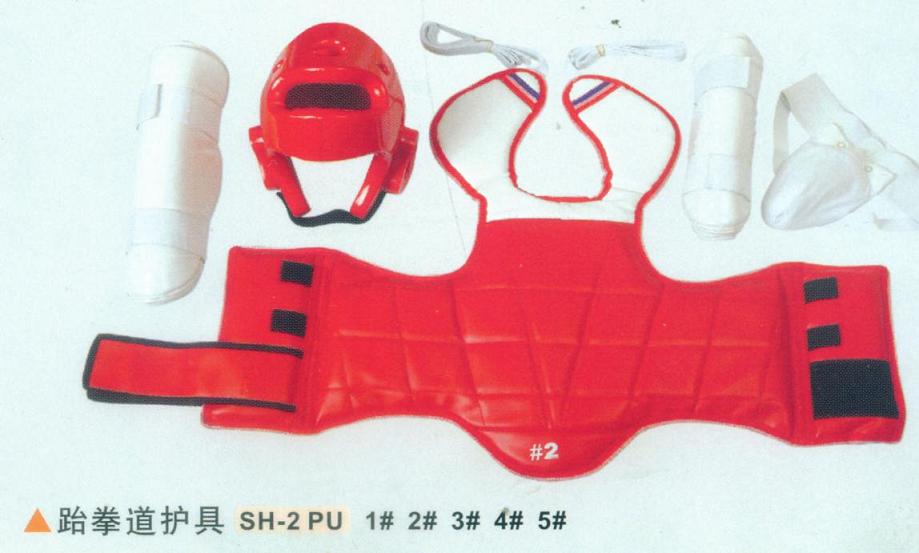 TKD Protector Sets