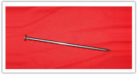 common nail