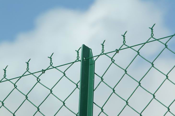 Rhombic Link  Fence