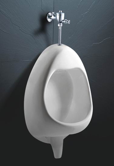 Wall Mounted Urinal