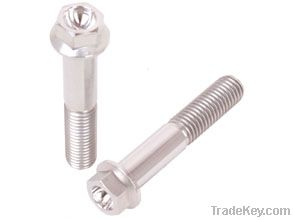 Titanium Hex Bolt