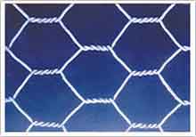 Hexagonal wire mesh