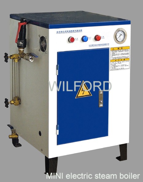 Mini Electric Steam Boiler