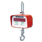 Crane Scale