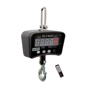 Crane Scale