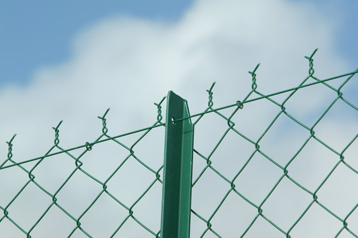 PVC Coated Chain Link Fence