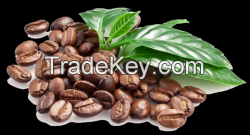 Arabica Coffee Beans - Mexico