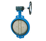 Worm Gear Butterfly Valve