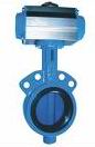 Pneumatic Butterfly Valve