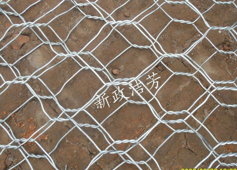 hexagonal wire netting