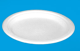 10 inch 3 compartment round plate