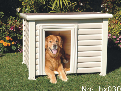 dog house