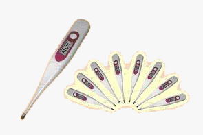 Digital thermometer