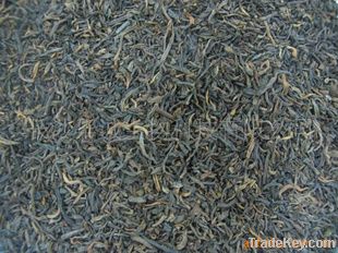 Puer tea extract