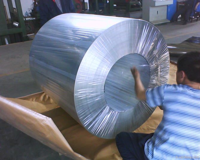 hot dipped galvanized steel coil