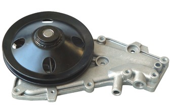 Auto Water Pump