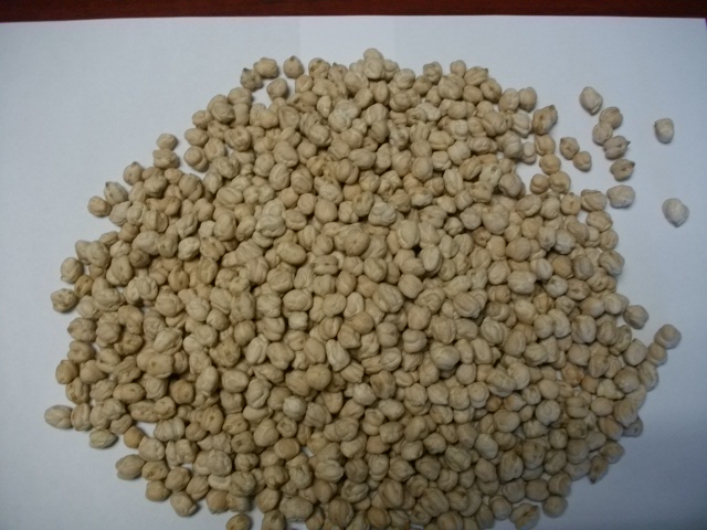 CHICK PEAS
