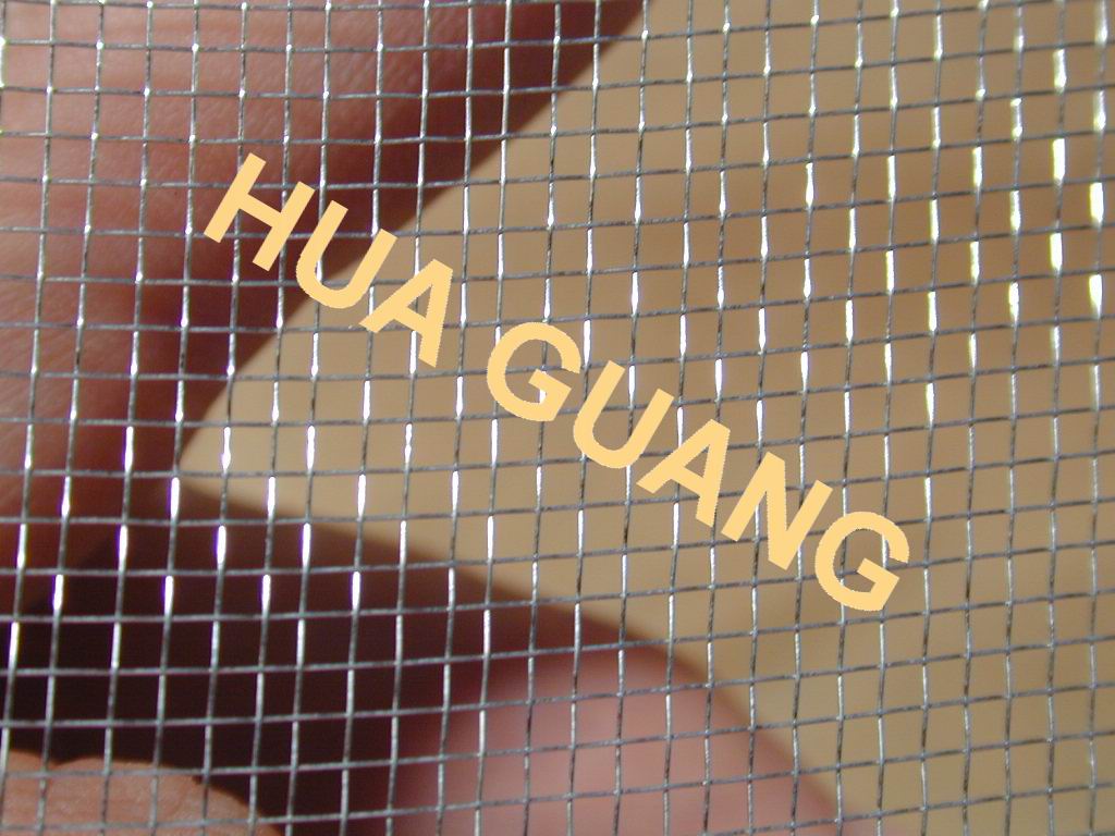 Galvanized Square Wire Mesh