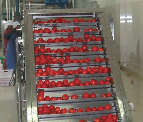 TOMATO PASTE PLANT/MACHINERY