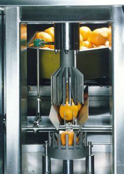 CITRUS FRUIT PROCESS PLANT/MACHINERY