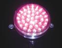 LED Point Light Source