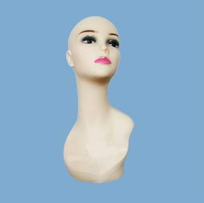 Mannequin Head