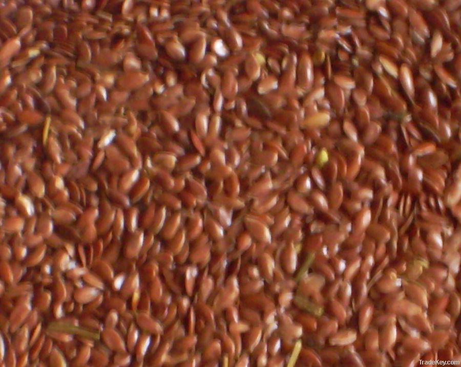 Flax seeds (linseeds)