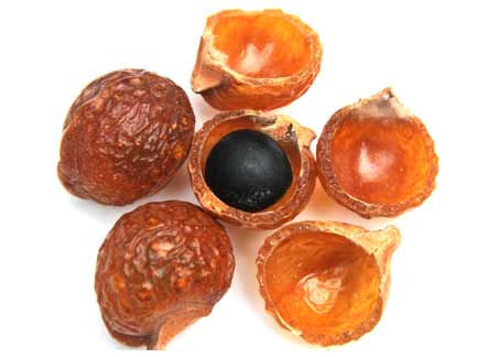 Soapnut Shells