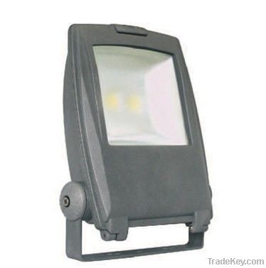 LED Flood Light (100W)