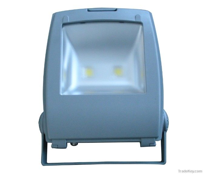 LED Flood Light (100W)