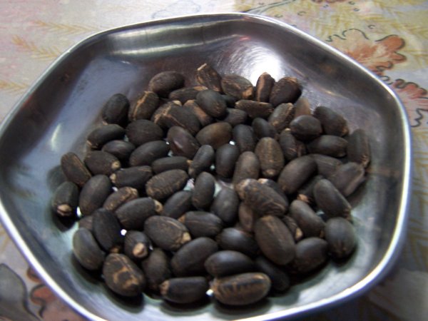 Jatropha/Neem/Caster/Cotton Seeds, Oils &amp; Cake