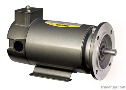 Permanent Magnet DC Motor