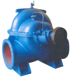 Double suction pump