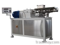 twin screw extruder