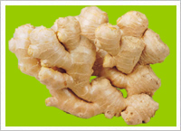 Fresh Yellow Ginger