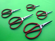 Scissors and Shears