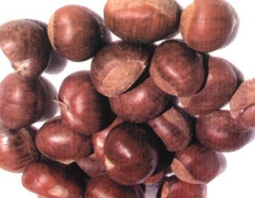 Chestnut