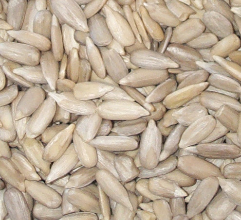 sunflower seeds kernel