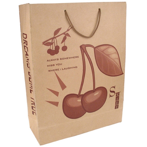 shopping paper bag