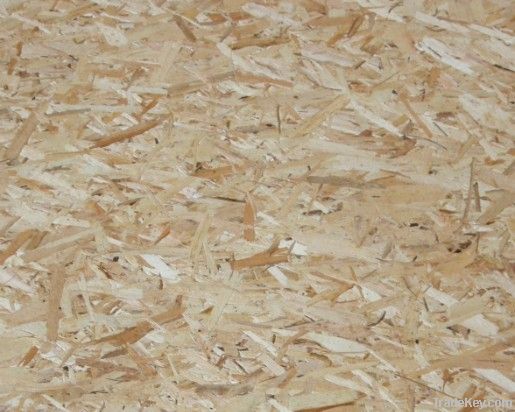 OSB2 oriented strand board