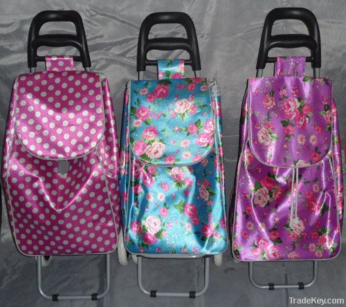 Foldable shopping trolley/shopping trolley bag