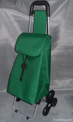 Foldable shopping trolley/shopping trolley bag