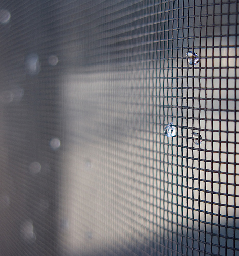 window screen