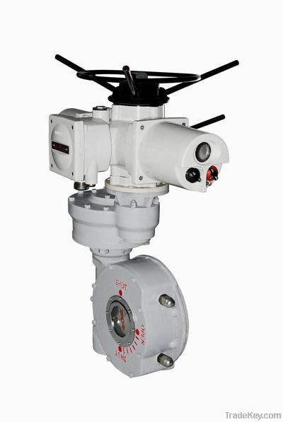 Intelligent Valve Actuators