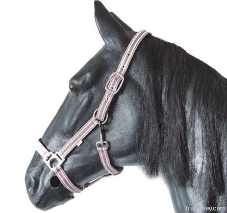 Standard Padded Halter&quot;Double Stripe&quot;