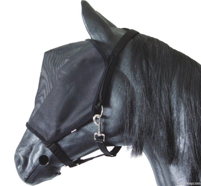 Halter And Fly Mask